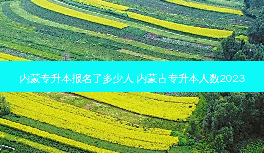 内蒙专升本报名了多少人 内蒙古专升本人数2023-第1张图片-天智网 内蒙专升本报名了多少人 内蒙古专升本人数2023-第1张图片-天智网