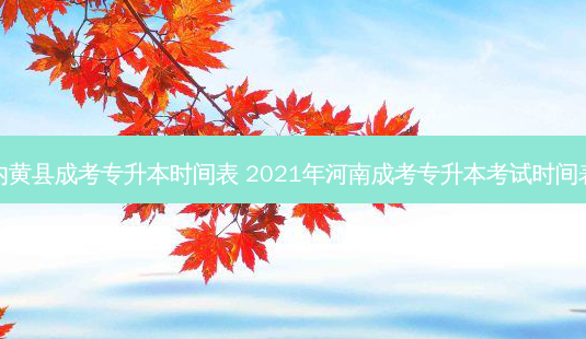 内黄县成考专升本时间表 2021年河南成考专升本考试时间表-第1张图片-天智网 内黄县成考专升本时间表 2021年河南成考专升本考试时间表-第1张图片-天智网