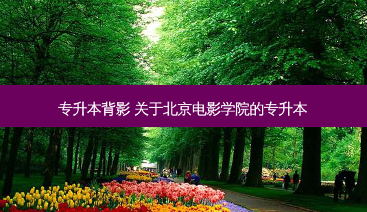专升本背影 关于北京电影学院的专升本-第1张图片-天智网 专升本背影 关于北京电影学院的专升本-第1张图片-天智网