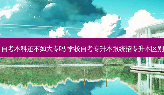 自考本科还不如大专吗 学校自考专升本跟统招专升本区别-第1张图片-天智网 自考本科还不如大专吗 学校自考专升本跟统招专升本区别-第1张图片-天智网
