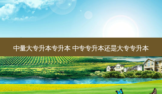 中量大专升本专升本 中专专升本还是大专专升本-第1张图片-天智网 中量大专升本专升本 中专专升本还是大专专升本-第1张图片-天智网
