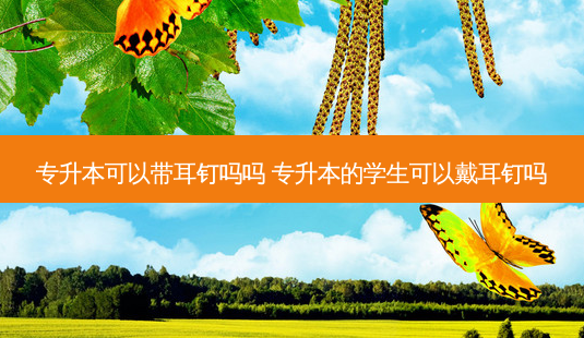 专升本可以带耳钉吗吗 专升本的学生可以戴耳钉吗-第1张图片-天智网 专升本可以带耳钉吗吗 专升本的学生可以戴耳钉吗-第1张图片-天智网
