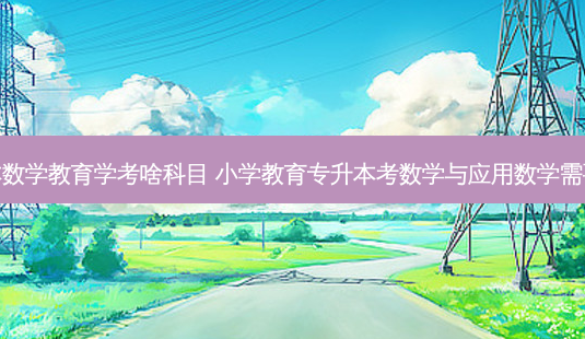 专升本数学教育学考啥科目 小学教育专升本考数学与应用数学需要考啥-第1张图片-天智网 专升本数学教育学考啥科目 小学教育专升本考数学与应用数学需要考啥-第1张图片-天智网