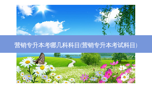 营销专升本考哪几科科目(营销专升本考试科目)-第1张图片-天智网 营销专升本考哪几科科目(营销专升本考试科目)-第1张图片-天智网