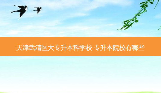 天津武清区大专升本科学校 专升本院校有哪些-第1张图片-天智网 天津武清区大专升本科学校 专升本院校有哪些-第1张图片-天智网