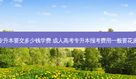 药学专升本要交多少钱学费 成人高考专升本报考费用一般要花多少钱-第1张图片-天智网 药学专升本要交多少钱学费 成人高考专升本报考费用一般要花多少钱-第1张图片-天智网