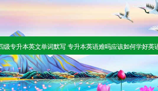 四级专升本英文单词默写 专升本英语难吗应该如何学好英语-第1张图片-天智网 四级专升本英文单词默写 专升本英语难吗应该如何学好英语-第1张图片-天智网