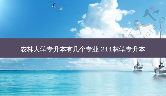 农林大学专升本有几个专业 211林学专升本-第1张图片-天智网 农林大学专升本有几个专业 211林学专升本-第1张图片-天智网