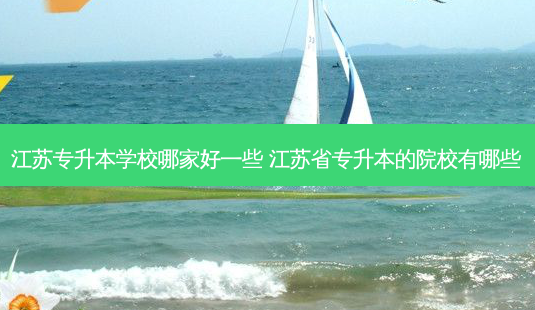 江苏专升本学校哪家好一些 江苏省专升本的院校有哪些-第1张图片-天智网 江苏专升本学校哪家好一些 江苏省专升本的院校有哪些-第1张图片-天智网