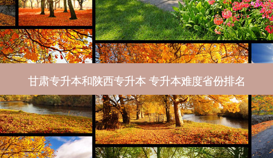 甘肃专升本和陕西专升本 专升本难度省份排名-第1张图片-天智网 甘肃专升本和陕西专升本 专升本难度省份排名-第1张图片-天智网