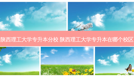 陕西理工大学专升本分校 陕西理工大学专升本在哪个校区-第1张图片-天智网 陕西理工大学专升本分校 陕西理工大学专升本在哪个校区-第1张图片-天智网
