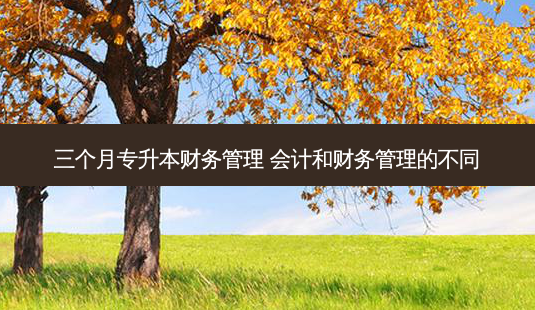 三个月专升本财务管理 会计和财务管理的不同-第1张图片-天智网 三个月专升本财务管理 会计和财务管理的不同-第1张图片-天智网