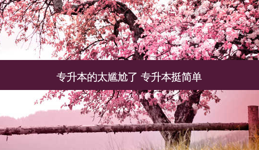 专升本的太尴尬了 专升本挺简单-第1张图片-天智网 专升本的太尴尬了 专升本挺简单-第1张图片-天智网