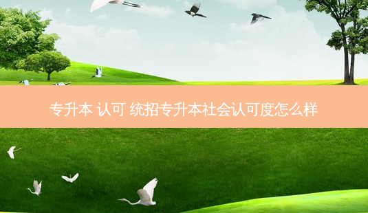 专升本 认可 统招专升本社会认可度怎么样-第1张图片-天智网 专升本 认可 统招专升本社会认可度怎么样-第1张图片-天智网
