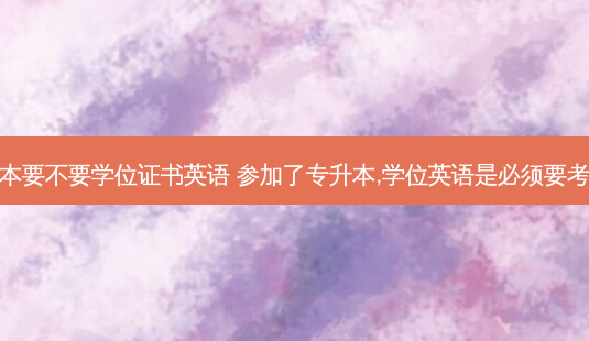 专升本要不要学位证书英语 参加了专升本,学位英语是必须要考的吗-第1张图片-天智网 专升本要不要学位证书英语 参加了专升本,学位英语是必须要考的吗-第1张图片-天智网