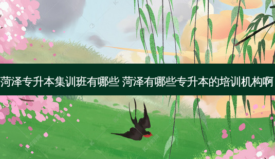菏泽专升本集训班有哪些 菏泽有哪些专升本的培训机构啊-第1张图片-天智网 菏泽专升本集训班有哪些 菏泽有哪些专升本的培训机构啊-第1张图片-天智网