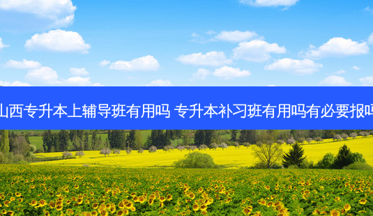 山西专升本上辅导班有用吗 专升本补习班有用吗有必要报吗-第1张图片-天智网 山西专升本上辅导班有用吗 专升本补习班有用吗有必要报吗-第1张图片-天智网