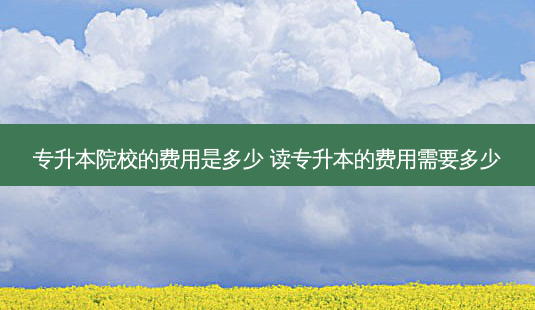 专升本院校的费用是多少 读专升本的费用需要多少-第1张图片-天智网 专升本院校的费用是多少 读专升本的费用需要多少-第1张图片-天智网