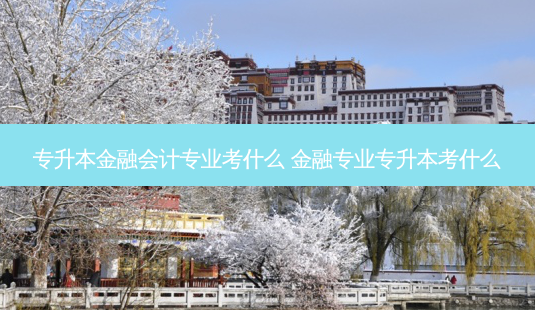 专升本金融会计专业考什么 金融专业专升本考什么-第1张图片-天智网 专升本金融会计专业考什么 金融专业专升本考什么-第1张图片-天智网