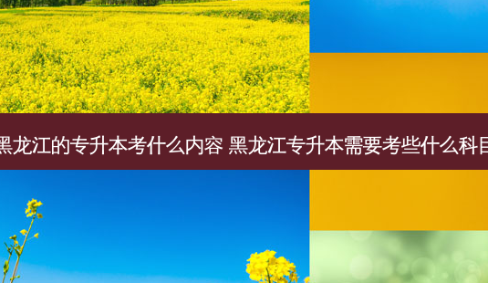 黑龙江的专升本考什么内容 黑龙江专升本需要考些什么科目-第1张图片-天智网 黑龙江的专升本考什么内容 黑龙江专升本需要考些什么科目-第1张图片-天智网