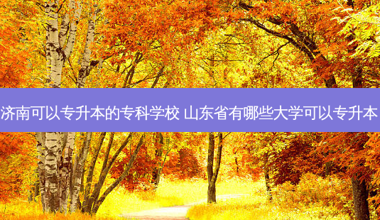 济南可以专升本的专科学校 山东省有哪些大学可以专升本-第1张图片-天智网 济南可以专升本的专科学校 山东省有哪些大学可以专升本-第1张图片-天智网