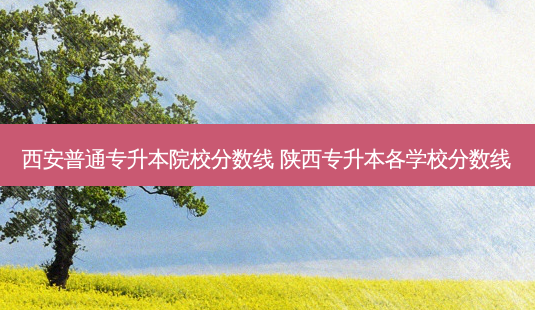西安普通专升本院校分数线 陕西专升本各学校分数线-第1张图片-天智网 西安普通专升本院校分数线 陕西专升本各学校分数线-第1张图片-天智网