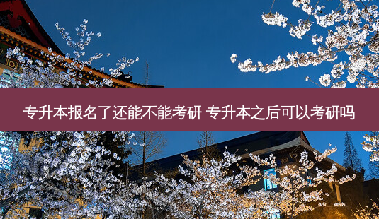 专升本报名了还能不能考研 专升本之后可以考研吗-第1张图片-天智网 专升本报名了还能不能考研 专升本之后可以考研吗-第1张图片-天智网