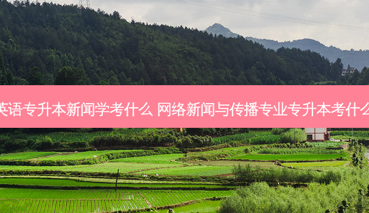 英语专升本新闻学考什么 *** 新闻与传播专业专升本考什么-第1张图片-天智网 英语专升本新闻学考什么 *** 新闻与传播专业专升本考什么-第1张图片-天智网