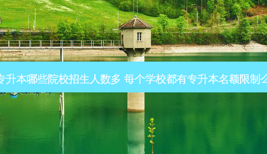 专升本哪些院校招生人数多 每个学校都有专升本名额限制么-第1张图片-天智网 专升本哪些院校招生人数多 每个学校都有专升本名额限制么-第1张图片-天智网