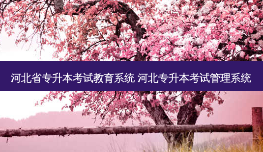 河北省专升本考试教育系统 河北专升本考试管理系统-第1张图片-天智网 河北省专升本考试教育系统 河北专升本考试管理系统-第1张图片-天智网