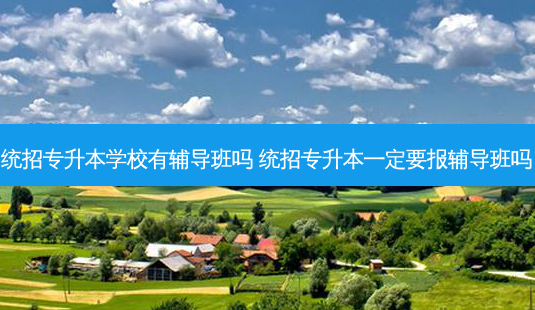 统招专升本学校有辅导班吗 统招专升本一定要报辅导班吗-第1张图片-天智网 统招专升本学校有辅导班吗 统招专升本一定要报辅导班吗-第1张图片-天智网