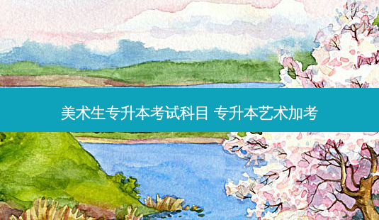 美术生专升本考试科目 专升本艺术加考-第1张图片-天智网 美术生专升本考试科目 专升本艺术加考-第1张图片-天智网