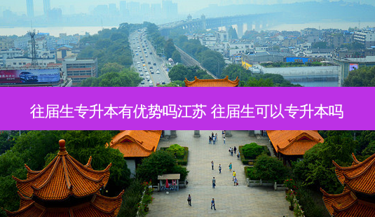 往届生专升本有优势吗江苏 往届生可以专升本吗-第1张图片-天智网 往届生专升本有优势吗江苏 往届生可以专升本吗-第1张图片-天智网