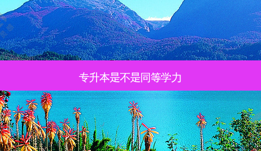专升本是不是同等学力-第1张图片-天智网 专升本是不是同等学力-第1张图片-天智网