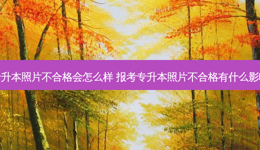专升本照片不合格会怎么样 报考专升本照片不合格有什么影响-第1张图片-天智网 专升本照片不合格会怎么样 报考专升本照片不合格有什么影响-第1张图片-天智网