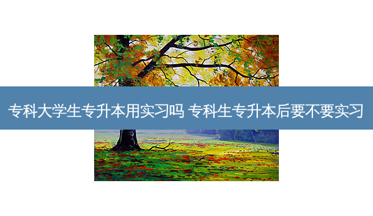 专科大学生专升本用实习吗 专科生专升本后要不要实习-第1张图片-天智网 专科大学生专升本用实习吗 专科生专升本后要不要实习-第1张图片-天智网