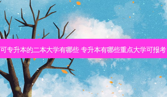 可专升本的二本大学有哪些 专升本有哪些重点大学可报考-第1张图片-天智网 可专升本的二本大学有哪些 专升本有哪些重点大学可报考-第1张图片-天智网