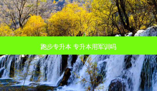 跑步专升本 专升本用军训吗-第1张图片-天智网 跑步专升本 专升本用军训吗-第1张图片-天智网