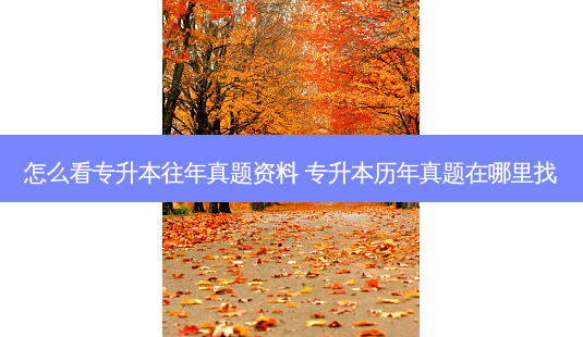 怎么看专升本往年真题资料 专升本历年真题在哪里找-第1张图片-天智网 怎么看专升本往年真题资料 专升本历年真题在哪里找-第1张图片-天智网
