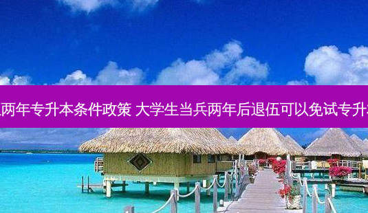 入伍两年专升本条件政策 大学生当兵两年后退伍可以免试专升本吗-第1张图片-天智网 入伍两年专升本条件政策 大学生当兵两年后退伍可以免试专升本吗-第1张图片-天智网