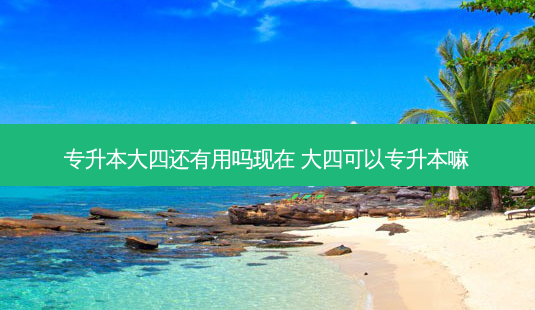 专升本大四还有用吗现在 大四可以专升本嘛-第1张图片-天智网 专升本大四还有用吗现在 大四可以专升本嘛-第1张图片-天智网