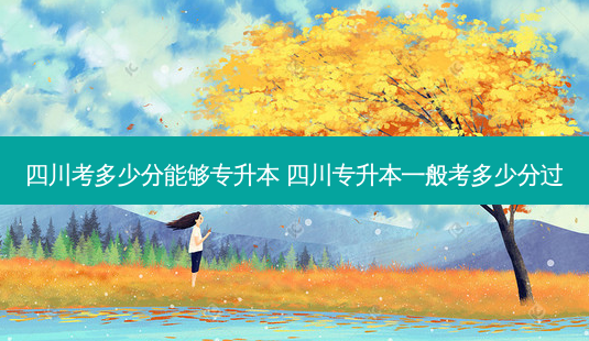四川考多少分能够专升本 四川专升本一般考多少分过-第1张图片-天智网 四川考多少分能够专升本 四川专升本一般考多少分过-第1张图片-天智网