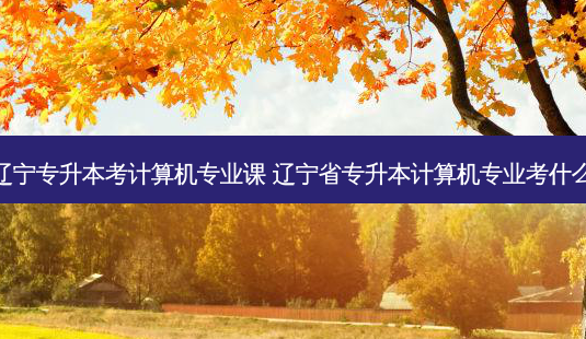 辽宁专升本考计算机专业课 辽宁省专升本计算机专业考什么-第1张图片-天智网 辽宁专升本考计算机专业课 辽宁省专升本计算机专业考什么-第1张图片-天智网