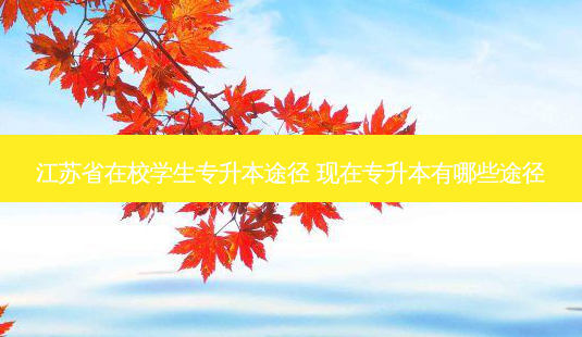江苏省在校学生专升本途径 现在专升本有哪些途径-第1张图片-天智网 江苏省在校学生专升本途径 现在专升本有哪些途径-第1张图片-天智网