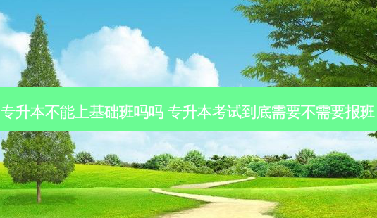 专升本不能上基础班吗吗 专升本考试到底需要不需要报班-第1张图片-天智网 专升本不能上基础班吗吗 专升本考试到底需要不需要报班-第1张图片-天智网