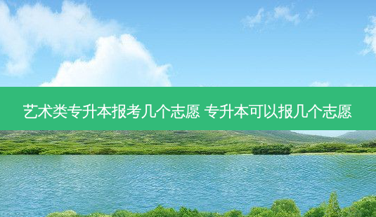 艺术类专升本报考几个志愿 专升本可以报几个志愿-第1张图片-天智网 艺术类专升本报考几个志愿 专升本可以报几个志愿-第1张图片-天智网