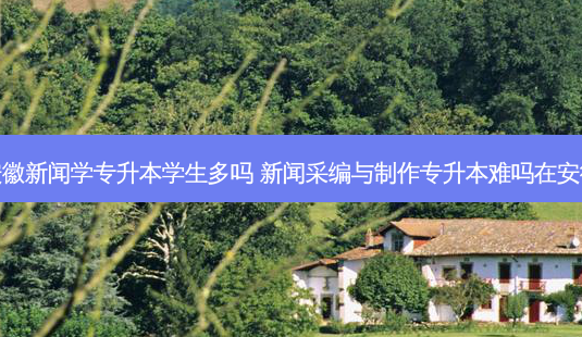 安徽新闻学专升本学生多吗 新闻采编与 *** 专升本难吗在安徽-第1张图片-天智网 安徽新闻学专升本学生多吗 新闻采编与 *** 专升本难吗在安徽-第1张图片-天智网