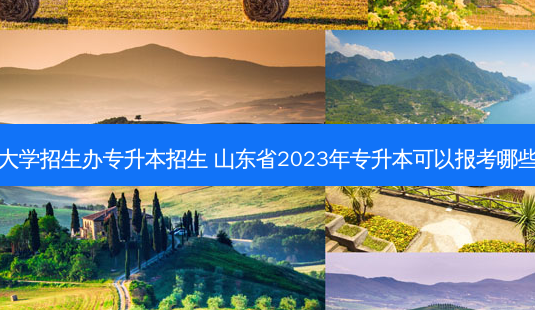 山东大学招生办专升本招生 山东省2023年专升本可以报考哪些大学-第1张图片-天智网 山东大学招生办专升本招生 山东省2023年专升本可以报考哪些大学-第1张图片-天智网