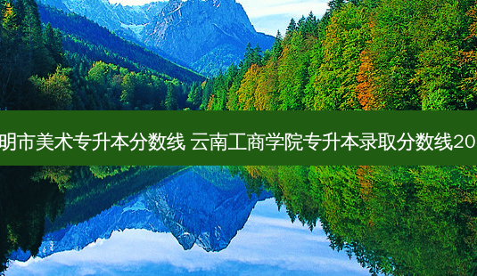 昆明市美术专升本分数线 云南工商学院专升本录取分数线2022-第1张图片-天智网 昆明市美术专升本分数线 云南工商学院专升本录取分数线2022-第1张图片-天智网