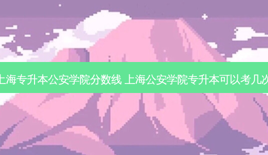 上海专升本公安学院分数线 上海公安学院专升本可以考几次-第1张图片-天智网 上海专升本公安学院分数线 上海公安学院专升本可以考几次-第1张图片-天智网